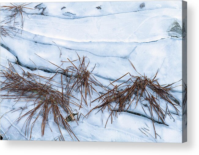 British Columbia Acrylic Print featuring the photograph Frozen Shore by Michael Russell