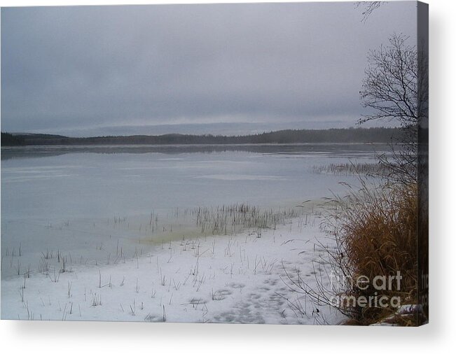Tranquil Acrylic Print featuring the photograph Frozen Tranquility by Vivian Martin