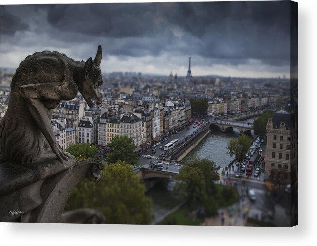 Gargoyle Acrylic Print featuring the photograph G A R G O Y L E by Andrew Dickman