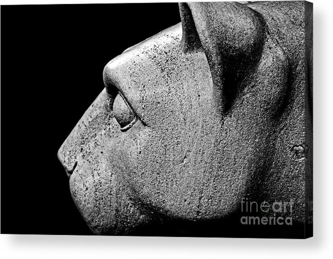 Sculpture Acrylic Print featuring the photograph Garatti's Lion by Tom Gari Gallery-Three-Photography