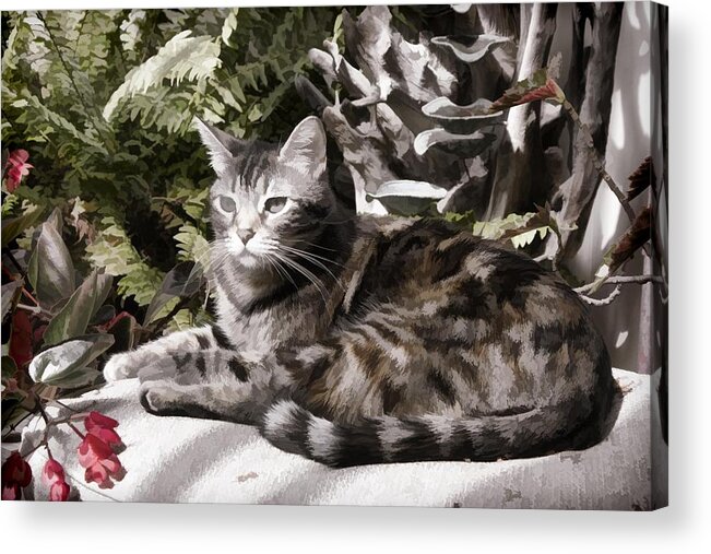 Cat Acrylic Print featuring the digital art Garden Cat by Photographic Art by Russel Ray Photos