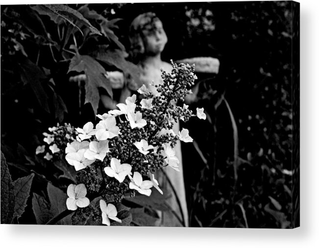 Yard Acrylic Print featuring the photograph Garden of Good 3 by Toni Hopper