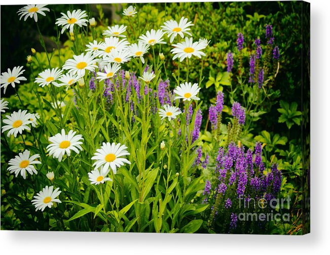 Flower Acrylic Print featuring the photograph Garden Scene by Joe Geraci