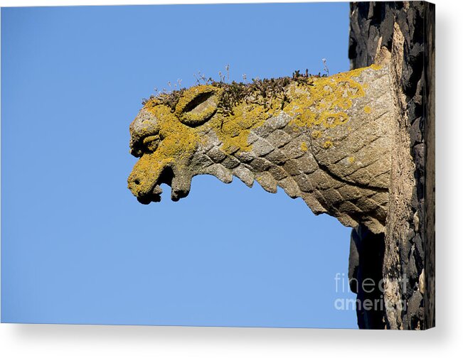 Works Acrylic Print featuring the photograph Gargoyle by Bernard Jaubert