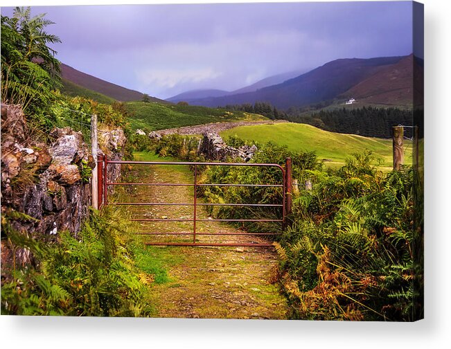 Jenny Rainbow Fine Art Photography Acrylic Print featuring the photograph Gates on the Road. Wicklow Hills. Ireland by Jenny Rainbow