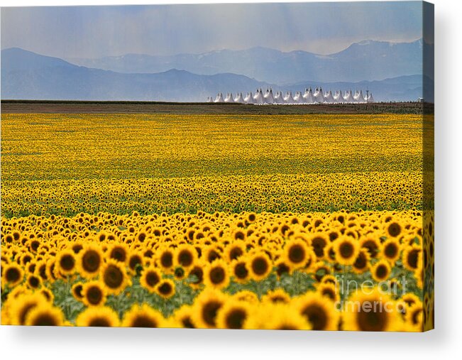 Flowers Acrylic Print featuring the photograph Gateway to the Rockies by Jim Garrison