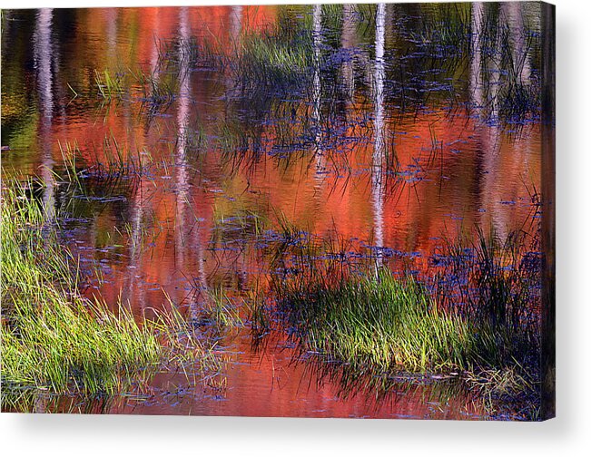 Landscape Acrylic Print featuring the photograph Gatineau Abstract by Steve Somerville