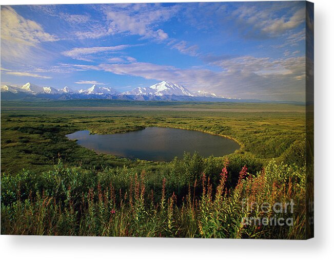 00340579 Acrylic Print featuring the photograph Glacial Kettle Pond And Denali by Yva Momatiuk John Eastcott