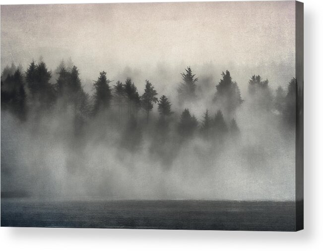 Tree Acrylic Print featuring the photograph Glimpse of Mist and Trees by Carol Leigh