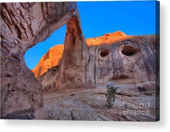 Corona Arch Acrylic Print featuring the photograph Glow Above The Eyes by Adam Jewell