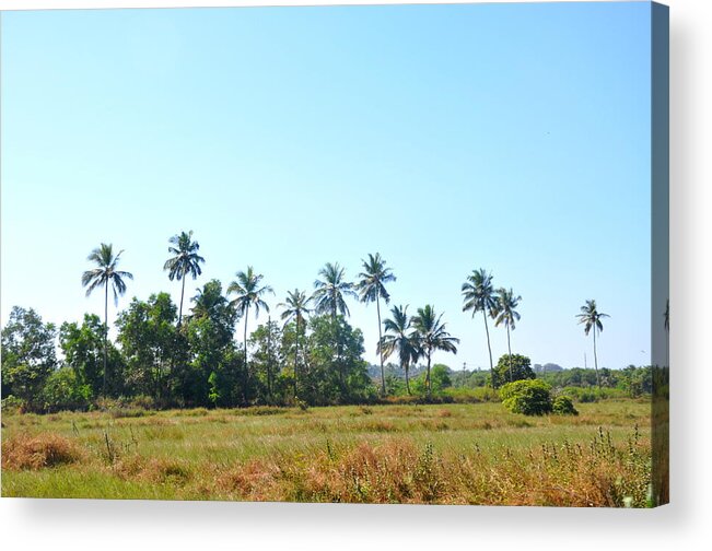 Tranquility Acrylic Print featuring the photograph Goa Landscape by Eustaquio Santimano