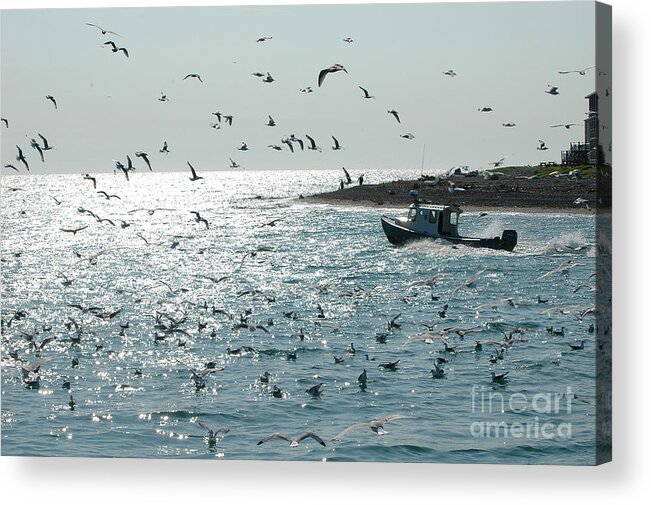 Homer Spit Acrylic Print featuring the photograph Going Fishing by Joan Wallner