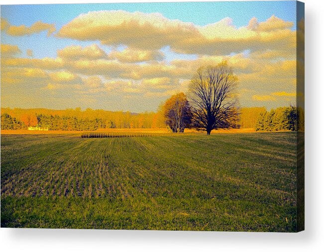 Farm Acrylic Print featuring the photograph Gold Field by Mary Underwood