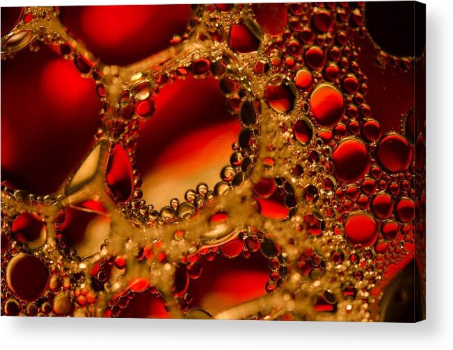 Oil And Water Macro Close Up Red Gold Bruce Pritchett Photography Acrylic Print featuring the photograph Gold with Red Rubies by Bruce Pritchett