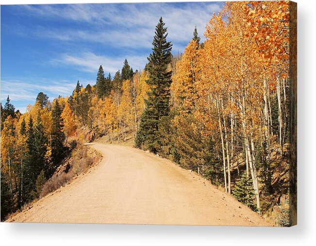 Landscape Acrylic Print featuring the photograph Golden Leaves along Gold Camp Road No.5 by Daniel Woodrum