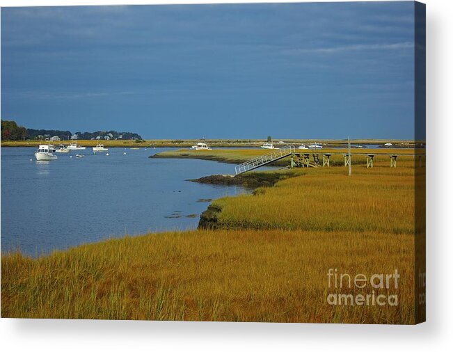 Marsh Acrylic Print featuring the photograph Golden Marsh by Amazing Jules