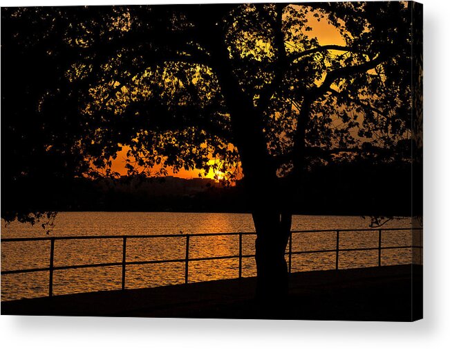 America Acrylic Print featuring the photograph Golden Sunset at Washington's Tidal Basin by Mitchell R Grosky