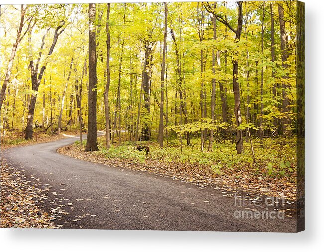 Autumn Trees Acrylic Print featuring the photograph Good Day for a Drive by Patty Colabuono