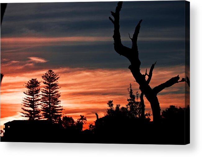 #sunset Acrylic Print featuring the photograph Good Night Trees by Miroslava Jurcik