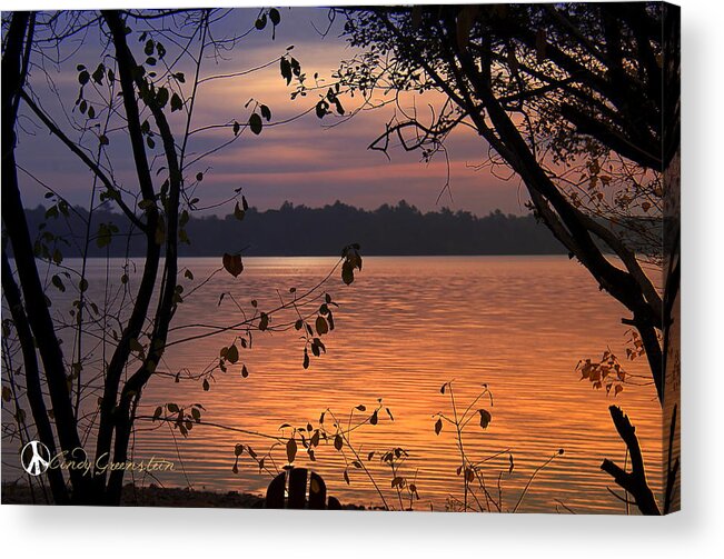 Lake Acrylic Print featuring the photograph Goodnight Lake by Cindy Greenstein
