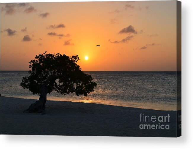 Dusk Acrylic Print featuring the photograph Gorgeous Sunset by DejaVu Designs