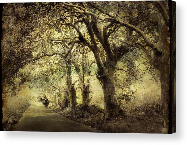 Road Acrylic Print featuring the photograph Gothic Road by Jenny Rainbow