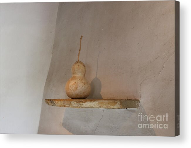 Photography Acrylic Print featuring the photograph Gourd Still Life by Jeanette French
