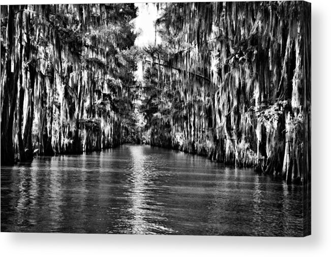 Bayou Acrylic Print featuring the photograph Government Ditch 2 by Lana Trussell