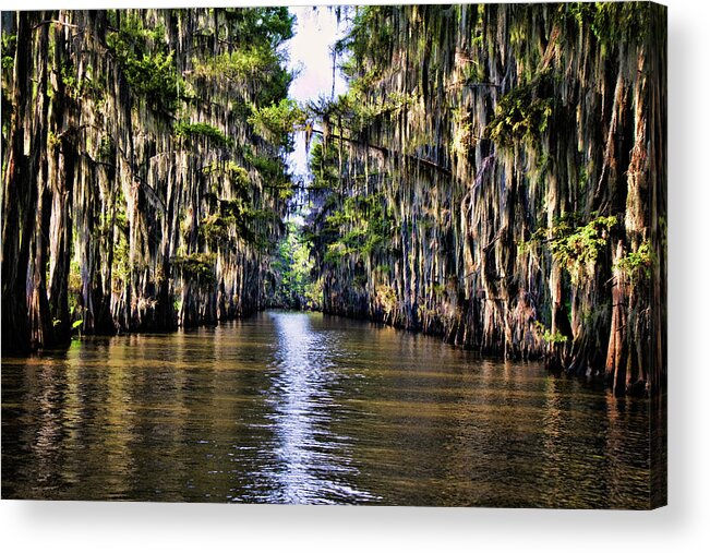 Bayou Acrylic Print featuring the photograph Government Ditch by Lana Trussell