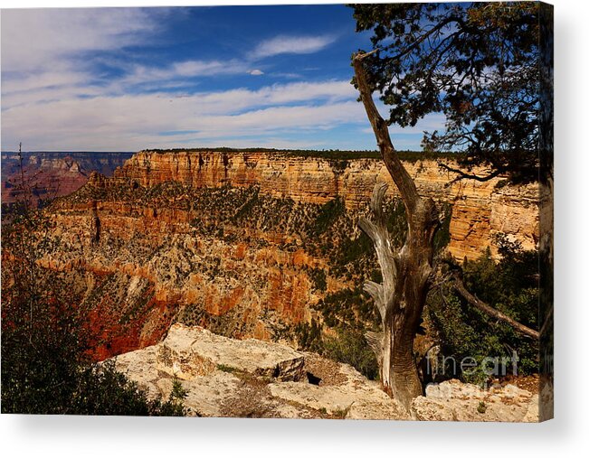  Canyon Acrylic Print featuring the photograph Grand Canyon Golden Rocks by Christiane Schulze Art And Photography