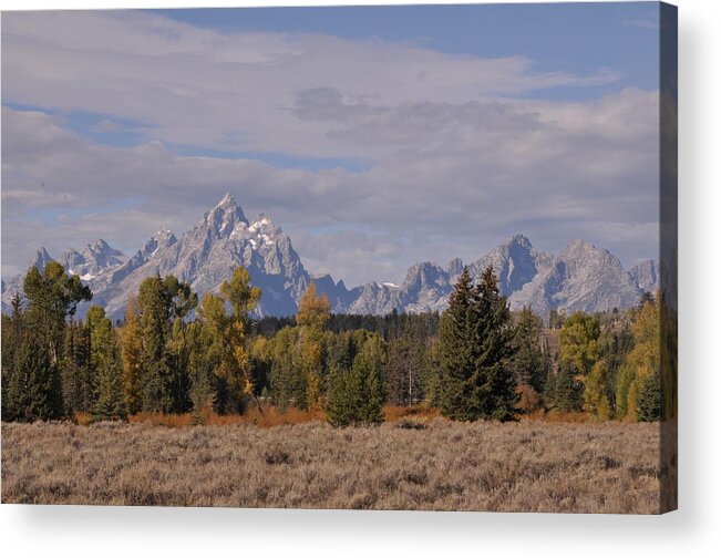 Mountains Acrylic Print featuring the photograph Grand Teton by Frank Madia