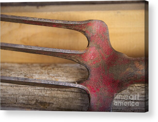 Grandpa Acrylic Print featuring the photograph Grandpa's Tools by Terry Rowe