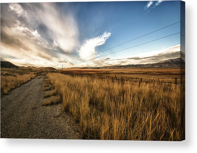 Road Acrylic Print featuring the photograph Grass Growing Along A Gravel Road by Marg Wood
