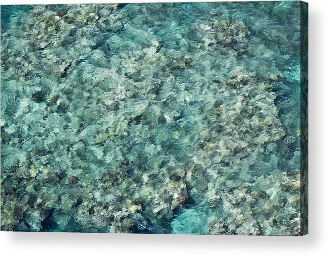Reef Acrylic Print featuring the photograph Great Barrier Reef texture by Debbie Cundy