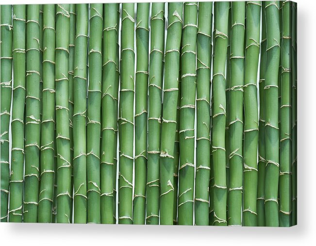 Green Bamboo Sticks Lined Up Acrylic Print By Cora Niele