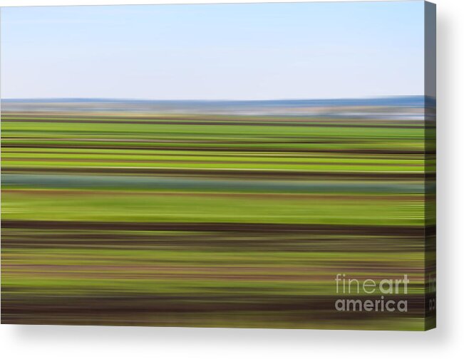 Farm Acrylic Print featuring the photograph Green Field Abstract by Les Palenik