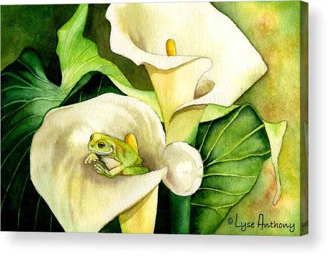 Frog Acrylic Print featuring the painting Green Peace by Lyse Anthony
