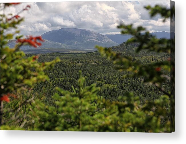 Mountain Newfoundland Park national Park gros Morne Hiking Landscape berry Hill Landscape Acrylic Print featuring the photograph Gros Morne by Eunice Gibb