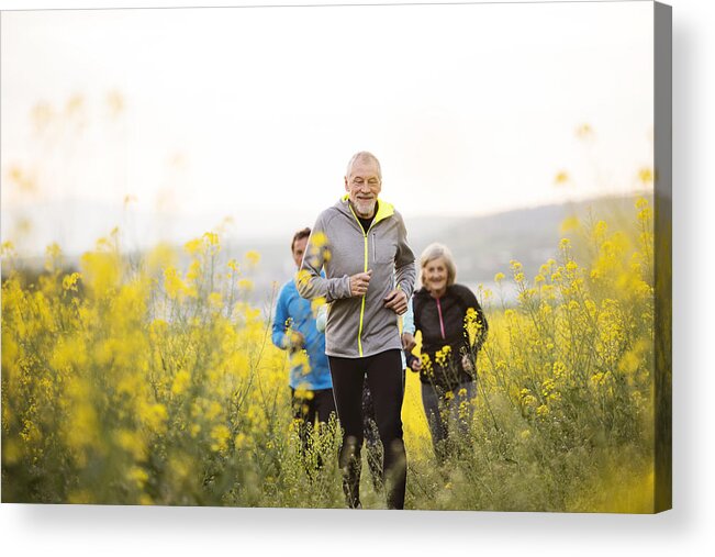 Heterosexual Couple Acrylic Print featuring the photograph Group of seniors running outside on the meadow. by Halfpoint Images