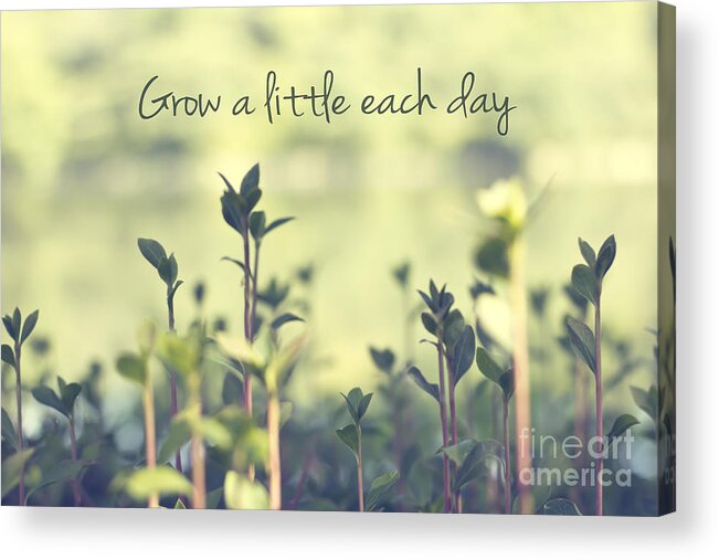 Grow A Little Each Day Acrylic Print featuring the photograph Grow A Little Each Day Inspirational Green Shoots and Leaves by Beverly Claire Kaiya