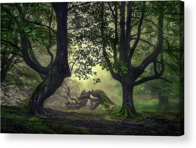 Forest Acrylic Print featuring the photograph Guardians Of The Forest by Fran Osuna