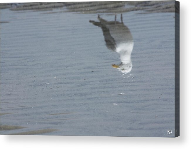 Seagull Acrylic Print featuring the photograph Gull at the Beach by John Meader