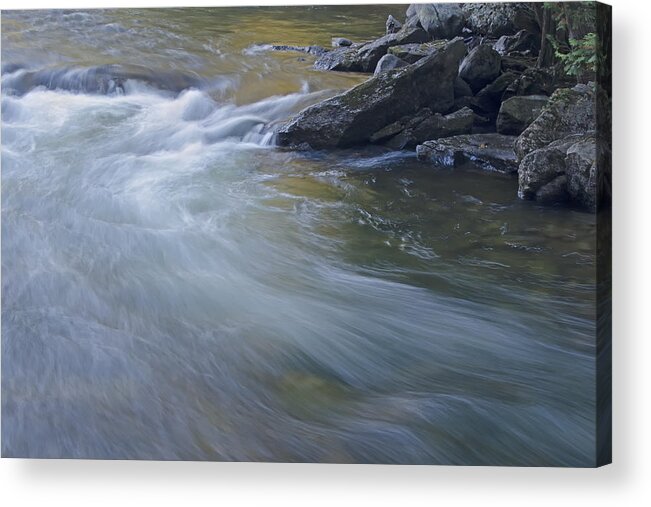 Water Acrylic Print featuring the photograph Gull river in fall by Ralph Brunner