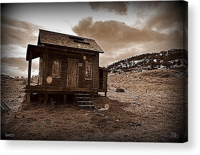 Gunless Acrylic Print featuring the photograph Gunless 014 s by Guy Hoffman