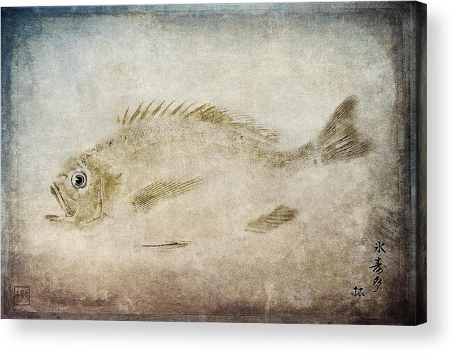 Gyotaku Acrylic Print featuring the photograph Gyotaku Fish Rubbing Japanese by Carol Leigh