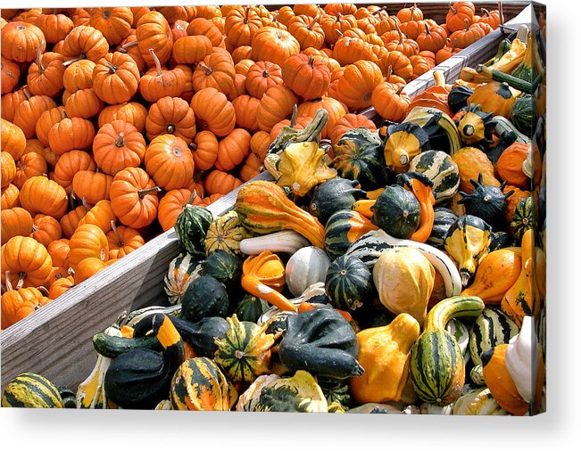 Pumpkins Acrylic Print featuring the photograph Half and Half by Cathy Kovarik