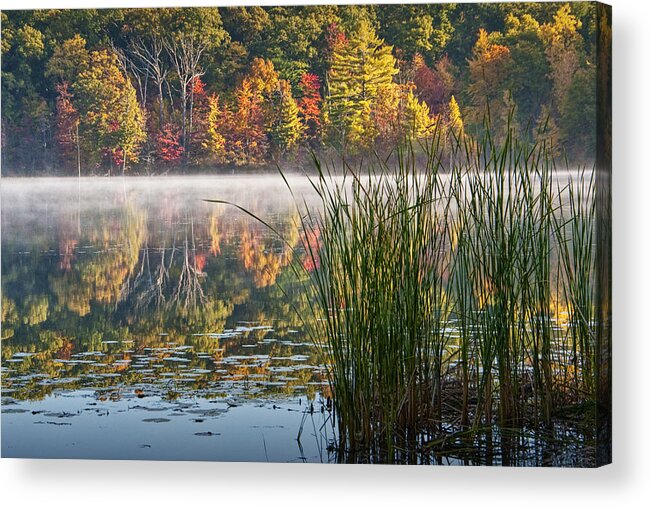 Beautiful Acrylic Print featuring the photograph Hall Lake with cattails in Autumn by Randall Nyhof