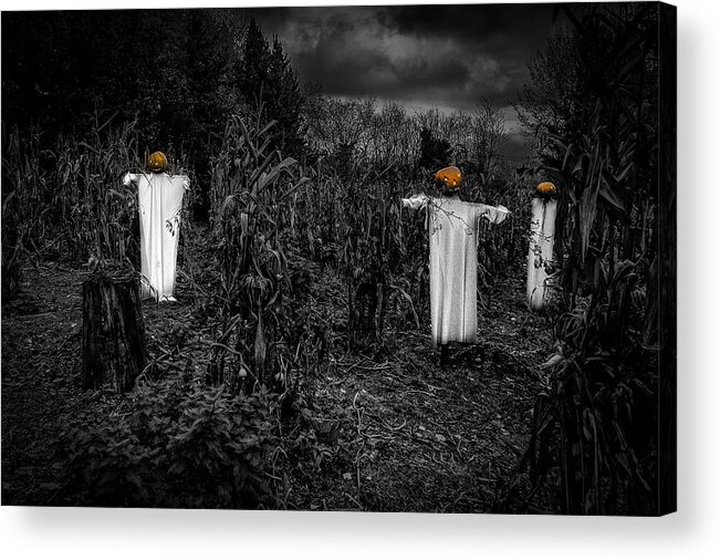 Halloween Acrylic Print featuring the photograph Halloween is coming by Nigel R Bell