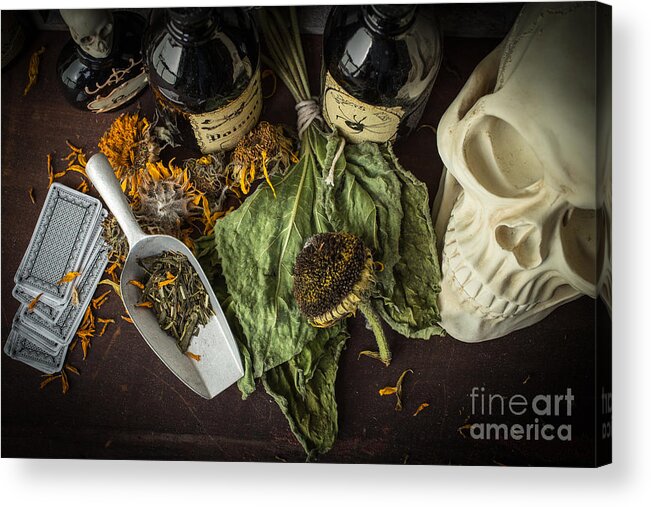 Witch Acrylic Print featuring the photograph Halloween Still Life by Edward Fielding