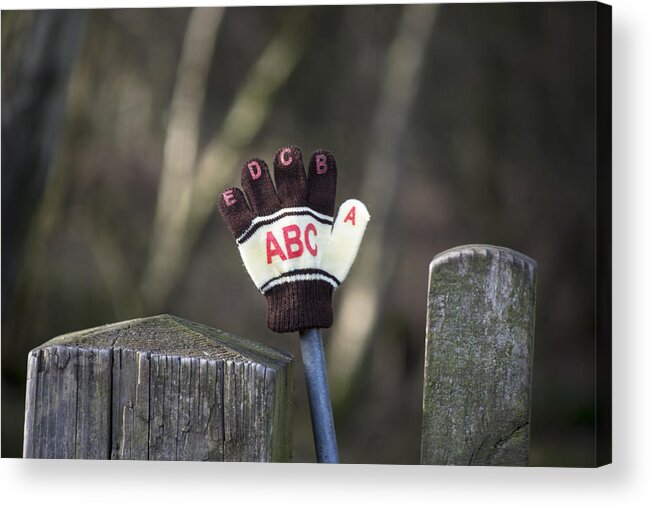 Glove Acrylic Print featuring the photograph Handy by Spikey Mouse Photography